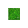 EVOG Moss – Rich Green - S
