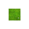 EVOG Moss – Bright Green - S