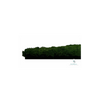 EVOG Moss – Dark Green - S
