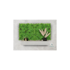 EVOG Botanical - Sedum Look - S