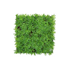 EVOG Botanical - Sedum Look - S