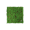 EVOG Botanical - Fine Fern - S