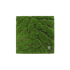 EVOG Botanical - Green Cushion - S