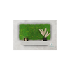 EVOG Moss - Lime Green - S