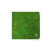 EVOG Moss - Lime Green - S