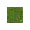 EVOG Moss - Warm Green - S