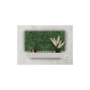 EVOG Botanical - Boxwood - S