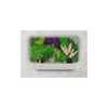 EVOG Botanical - Color Blend - S