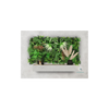 EVOG Botanical - Wild Tropical - S