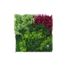 EVOG Botanical - Wild Harmony - S