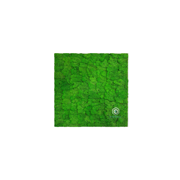 EVOG Moss – Rich Green - S