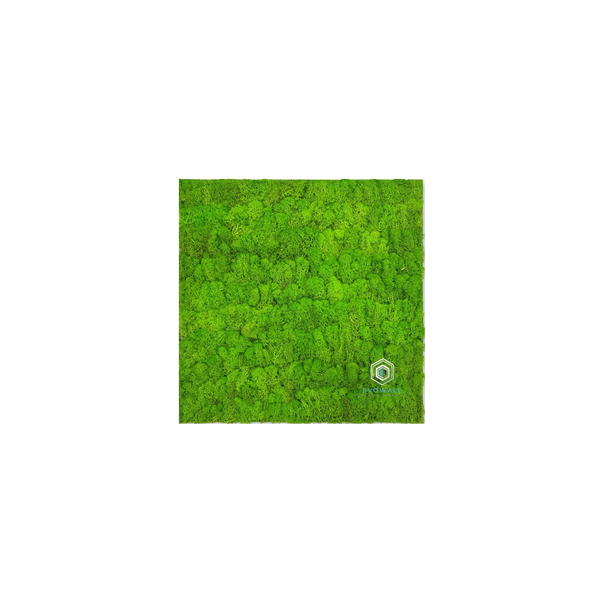 EVOG Moss – Bright Green - S