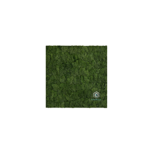 EVOG Moss – Dark Green - S