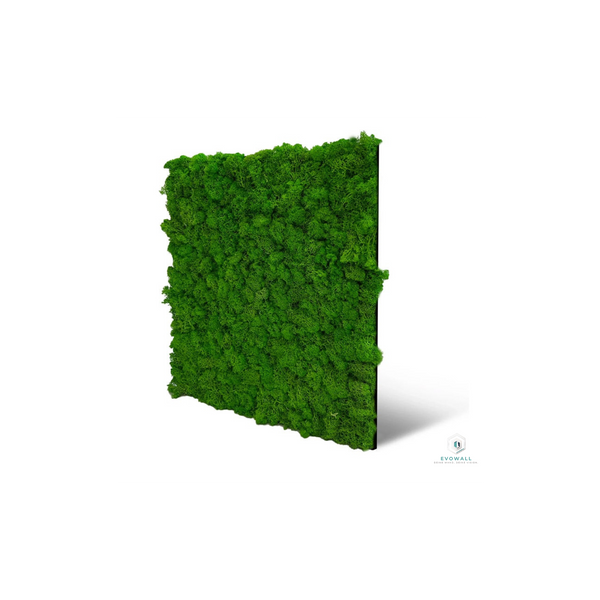 EVOG Moss – Rich Green - S