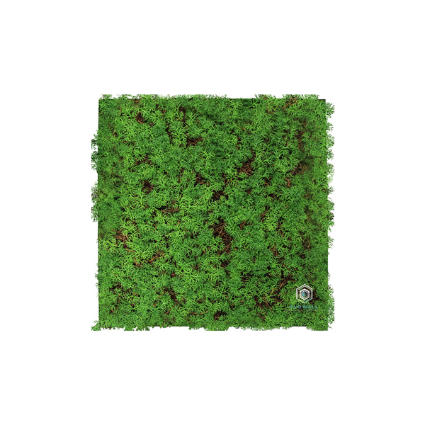 EVOG Botanical - Fine Fern - S