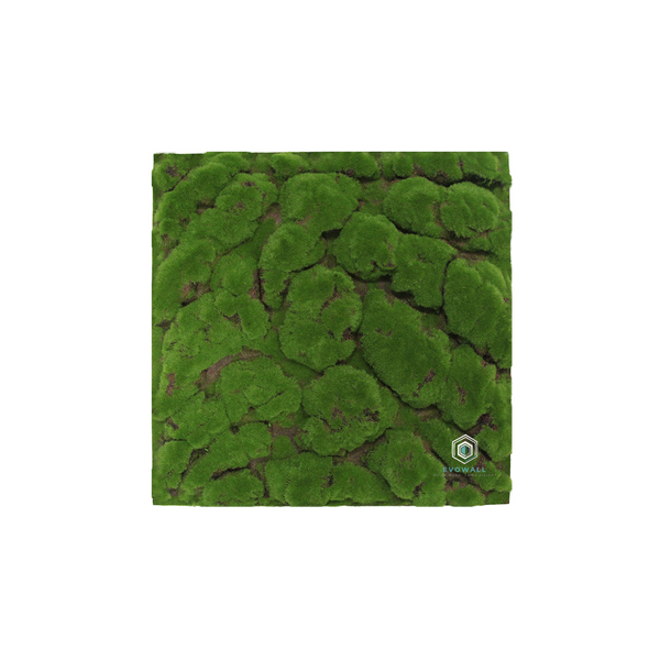 EVOG Botanical - Green Cushion - S