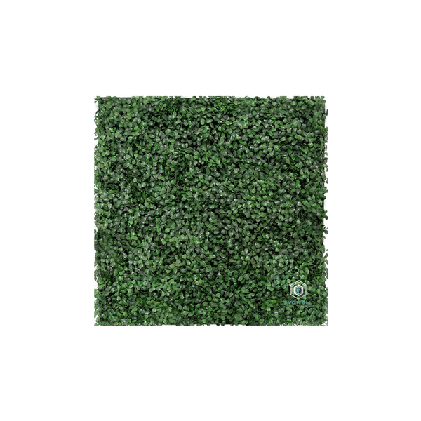 EVOG Botanical - Boxwood - S