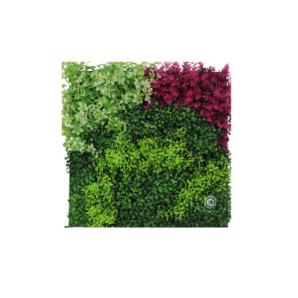 EVOG Botanical - Wild Harmony - S